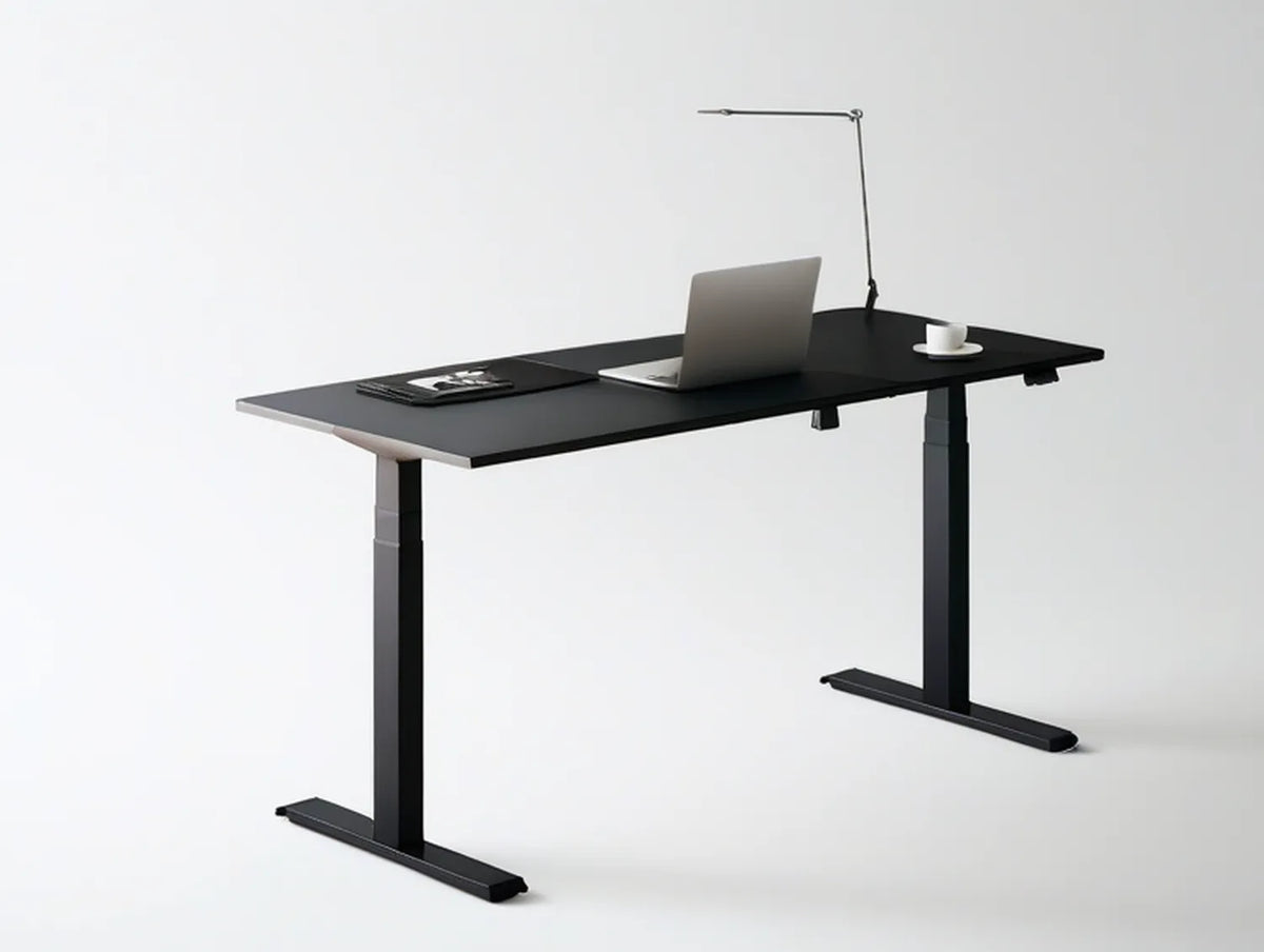 Black Electric Height-Adjustable Standing Desk, 48 x 24 in MDF Desktop with Carbon Steel Frame