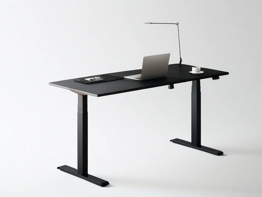 Black Electric Height-Adjustable Standing Desk, 48 x 24 in MDF Desktop with Carbon Steel Frame